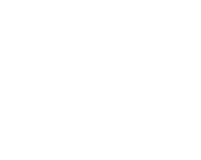 Pinera_DisiLogosu_PNG